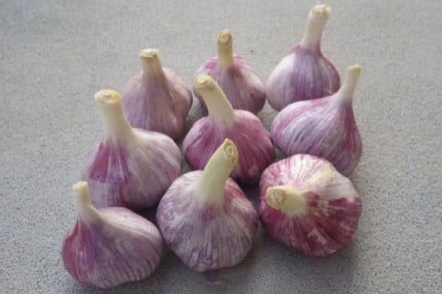 ニンニク 伊江島にんにく 黒糖漬け 150g 3個 セット [伊江島物産センター 沖縄県 伊江村 ie47bde210020] にんにく 瓶 小分け 黒砂糖