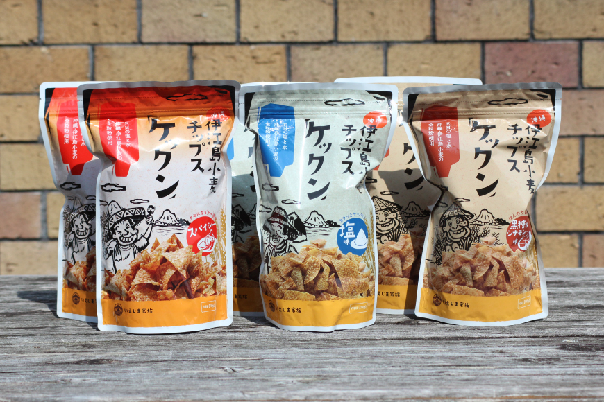 スナック 伊江島 小麦チップス ケックン バラエティー 3種 セット [伊江島物産センター 沖縄県 伊江村 ie47bde210045] 詰め合わせ バラエティ スナック菓子 お菓子 チップス おやつ おつまみ いえじま家族 ケックン ケックンチップス