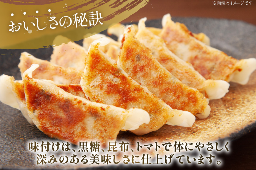 餃子 イカスミ 墨ちゃん 12個 6p 計72個 [伊江漁業 沖縄県 伊江村 ie47bde290006] ぎょうざ ギョウザ イカ墨 ソデイカ 冷凍