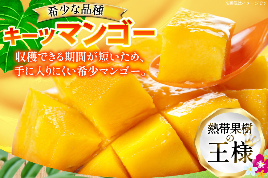 【期間限定発送】 キーツ マンゴー 秀品 約 2kg (2～3玉) [伊江村マンゴー部会 沖縄県 伊江村 ie47bde320009] キーツマンゴー 沖縄 フルーツ 果物 甘い 夏 濃厚 Mango 果物 果実 くだもの