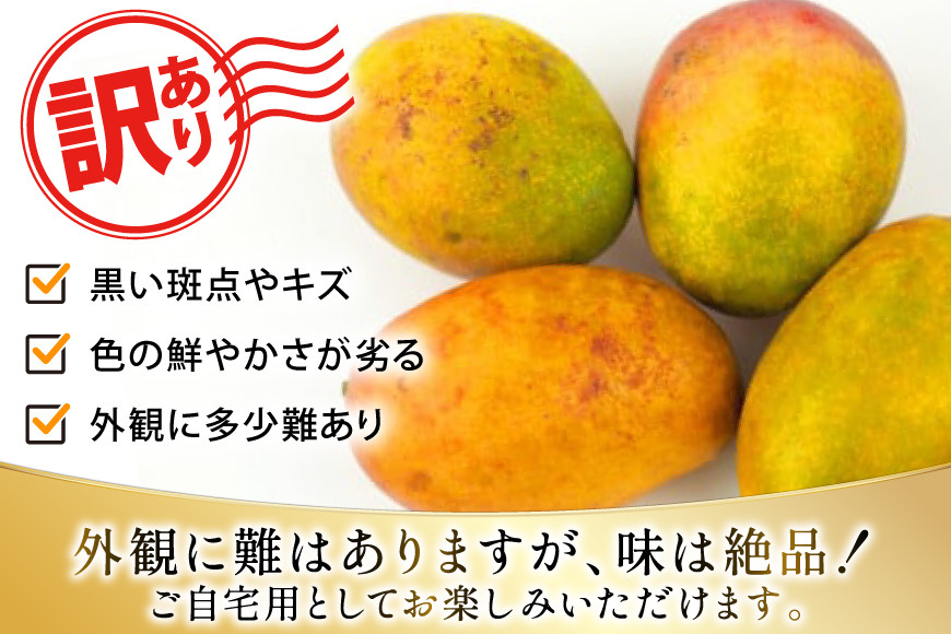 【期間限定発送】 訳あり マンゴー (アーウィン種) 約 2kg (4～6玉) [伊江村マンゴー部会 沖縄県 伊江村 ie47bde320010] 沖縄 フルーツ 果物 甘い 夏 濃厚 Mango 果物 果実 くだもの