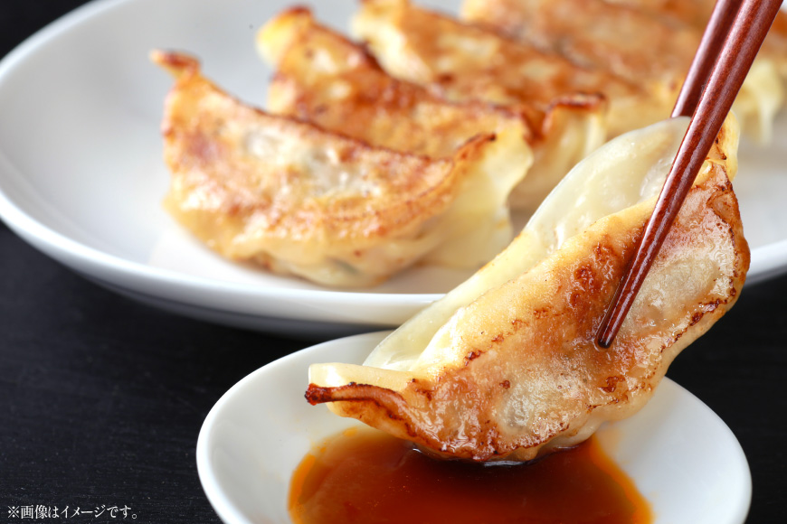 餃子 イカスミ 墨ちゃん 12個 6p 計72個 [伊江漁業 沖縄県 伊江村 ie47bde290006] ぎょうざ ギョウザ イカ墨 ソデイカ 冷凍