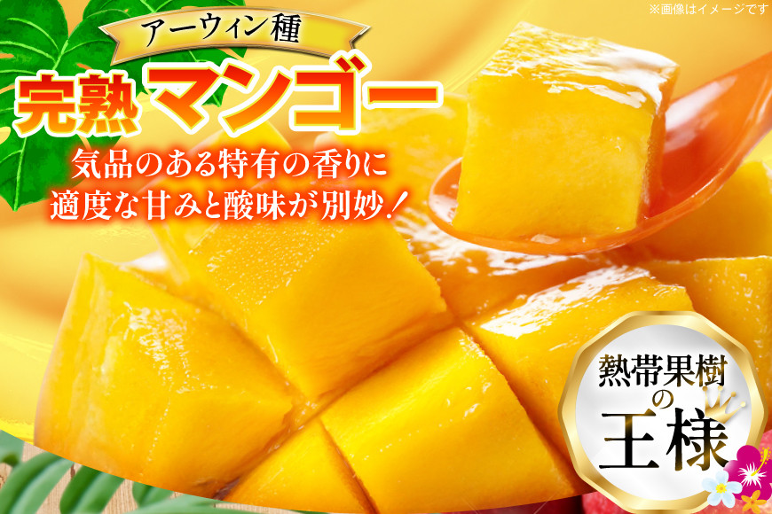 【期間限定発送】 訳あり マンゴー (アーウィン種) 約 2kg (4～6玉) [伊江村マンゴー部会 沖縄県 伊江村 ie47bde320010] 沖縄 フルーツ 果物 甘い 夏 濃厚 Mango 果物 果実 くだもの