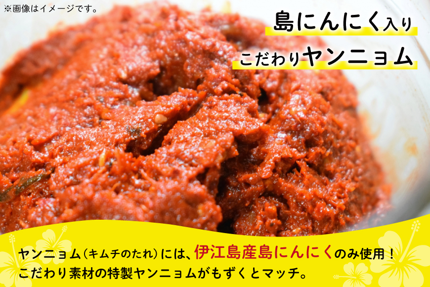 もずく 沖縄 もずくキムチ ちょい辛 250g 4個 激辛 250g 2個 食べ比べ セット [NOGU's 沖縄県 伊江村 ie47bde420008] キムチ 小分け 伊江島 島にんにく