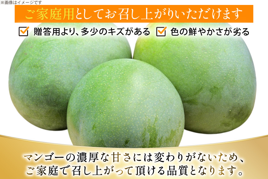 【期間限定発送】 家庭用 キーツ マンゴー 約 2kg (2～3玉) [伊江村マンゴー部会 沖縄県 伊江村 ie47bde320000] キーツマンゴー 沖縄 フルーツ 果物 甘い 夏 濃厚 Mango 果物 果実 くだもの