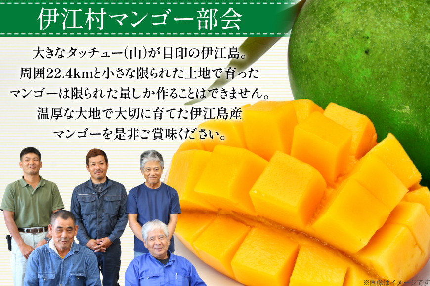 【期間限定発送】 キーツ マンゴー 秀品 約 2kg (2～3玉) [伊江村マンゴー部会 沖縄県 伊江村 ie47bde320009] キーツマンゴー 沖縄 フルーツ 果物 甘い 夏 濃厚 Mango 果物 果実 くだもの