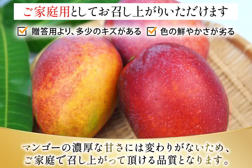 【期間限定発送】 家庭用 マンゴー (アーウィン種) 約 2kg (4～6玉) [伊江村マンゴー部会 沖縄県 伊江村 ie47bde320011] 沖縄 フルーツ 果物 甘い 夏 濃厚 Mango 果物 果実 くだもの