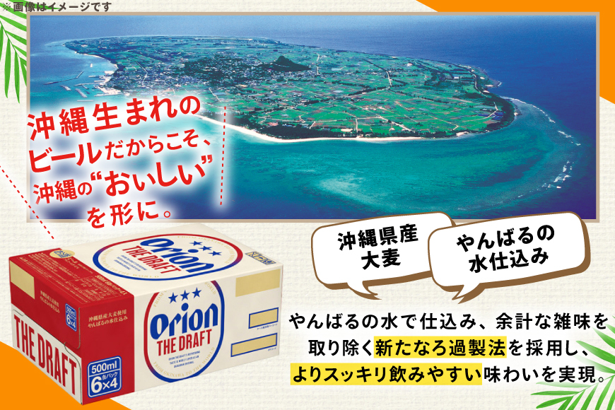 ビール オリオンビール オリオン ザ・ドラフト 500ml 24本 Alc.5% 県認定返礼品 [ぷちSHOPマルイストアー 沖縄県 伊江村 ie47bdr350011] 500