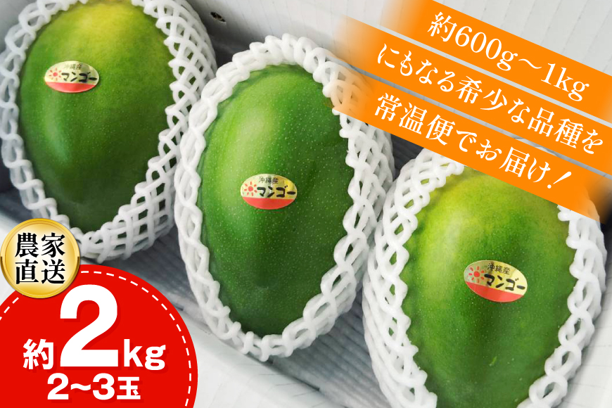 【期間限定発送】 キーツ マンゴー 秀品 約 2kg (2～3玉) [伊江村マンゴー部会 沖縄県 伊江村 ie47bde320009] キーツマンゴー 沖縄 フルーツ 果物 甘い 夏 濃厚 Mango 果物 果実 くだもの