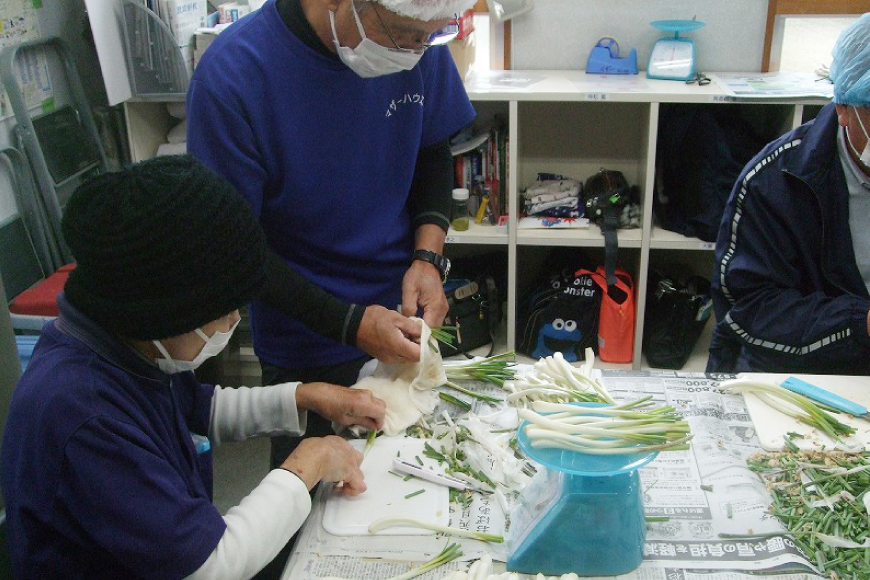 【期間限定発送】 島らっきょう 生 皮むき 250g 2袋 計 500g [ミュージアム 沖縄県 伊江村 ie47bde230012] 沖縄 おつまみ らっきょう 国産