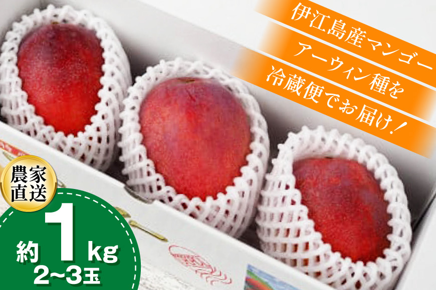 【期間限定発送】 完熟 マンゴー (アーウィン種) 約 1kg (2～3玉) [伊江村マンゴー部会 沖縄県 伊江村 ie47bde320012] 沖縄 フルーツ 果物 甘い 夏 濃厚 Mango 果物 果実 くだもの