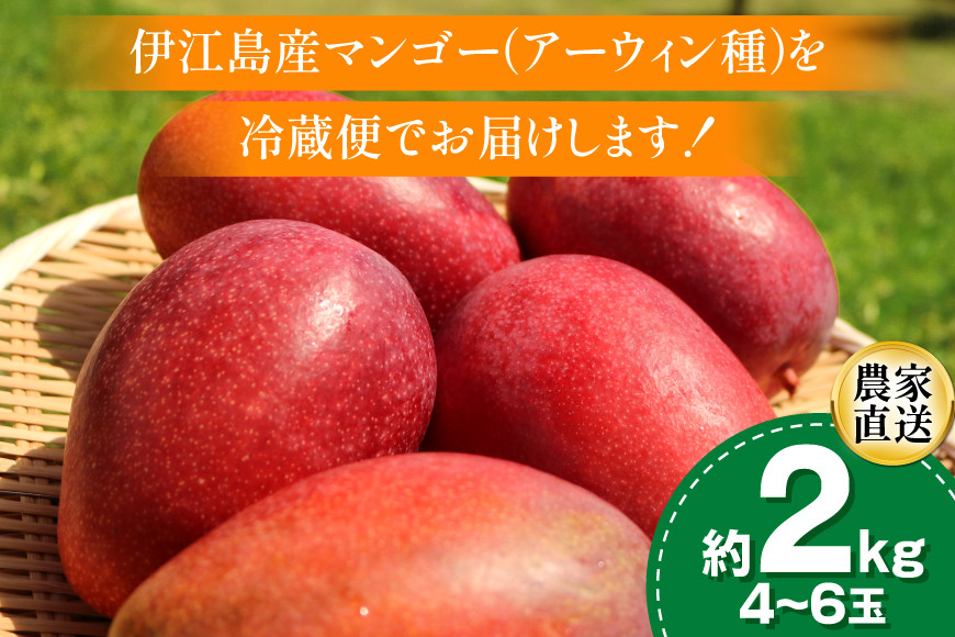 【期間限定発送】 完熟 マンゴー (アーウィン種) 約 2kg (4～6玉) [伊江村マンゴー部会 沖縄県 伊江村 ie47bde320013] 沖縄 フルーツ 果物 甘い 夏 濃厚 Mango 果物 果実 くだもの