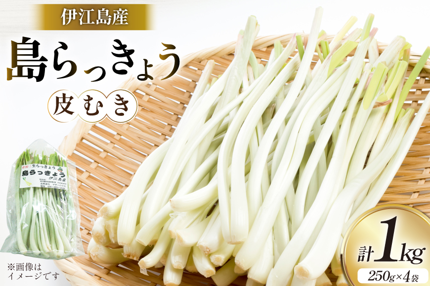 【期間限定発送】島らっきょう 生 皮むき 250g 4袋 計 1kg [ミュージアム 沖縄県 伊江村 ie47bde230011] 沖縄 おつまみ らっきょう 国産