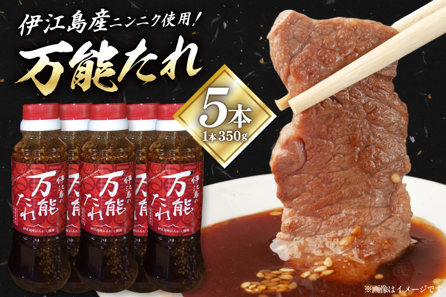 万能たれ 5本 計1750ml [伊江村生活研究会 沖縄県 伊江村 ie47bde300000] ニンニク ショウガ 味付け 肉料理 コク お取り寄せ 野菜炒め 焼き肉 調味料