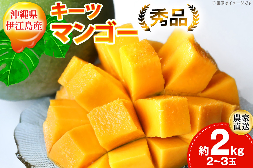 【期間限定発送】 キーツ マンゴー 秀品 約 2kg (2～3玉) [伊江村マンゴー部会 沖縄県 伊江村 ie47bde320009] キーツマンゴー 沖縄 フルーツ 果物 甘い 夏 濃厚 Mango 果物 果実 くだもの