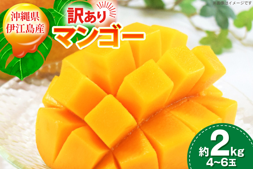 【期間限定発送】 訳あり マンゴー (アーウィン種) 約 2kg (4～6玉) [伊江村マンゴー部会 沖縄県 伊江村 ie47bde320010] 沖縄 フルーツ 果物 甘い 夏 濃厚 Mango 果物 果実 くだもの