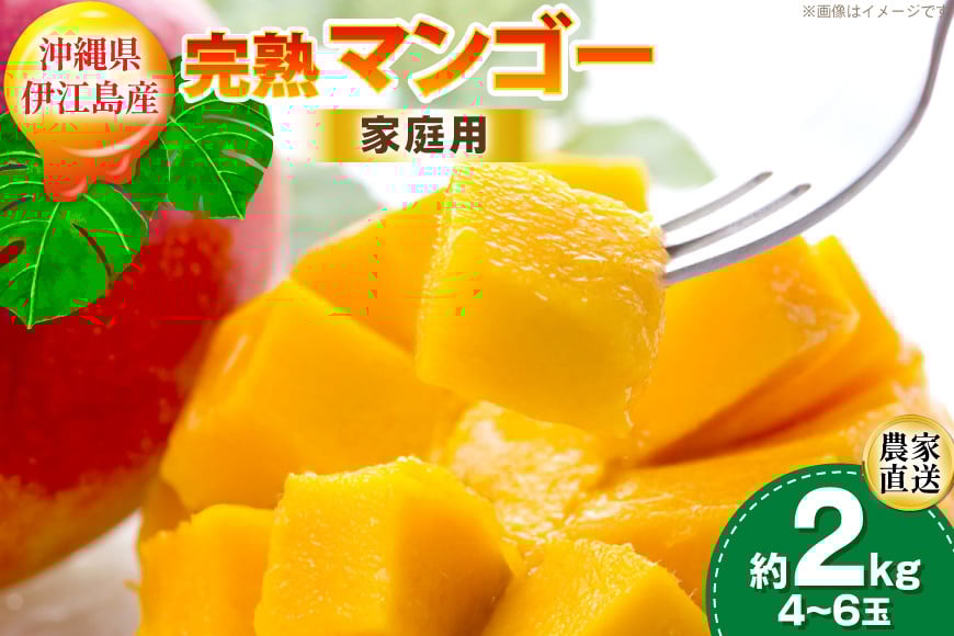 【期間限定発送】 家庭用 マンゴー (アーウィン種) 約 2kg (4～6玉) [伊江村マンゴー部会 沖縄県 伊江村 ie47bde320011] 沖縄 フルーツ 果物 甘い 夏 濃厚 Mango 果物 果実 くだもの