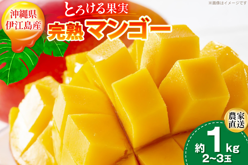 【期間限定発送】 完熟 マンゴー (アーウィン種) 約 1kg (2～3玉) [伊江村マンゴー部会 沖縄県 伊江村 ie47bde320012] 沖縄 フルーツ 果物 甘い 夏 濃厚 Mango 果物 果実 くだもの