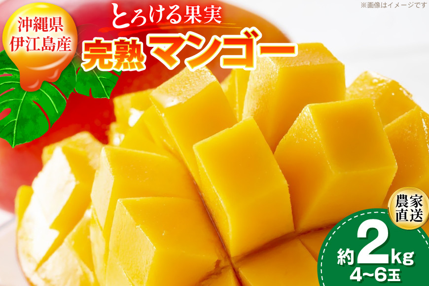 【期間限定発送】 完熟 マンゴー (アーウィン種) 約 2kg (4～6玉) [伊江村マンゴー部会 沖縄県 伊江村 ie47bde320013] 沖縄 フルーツ 果物 甘い 夏 濃厚 Mango 果物 果実 くだもの