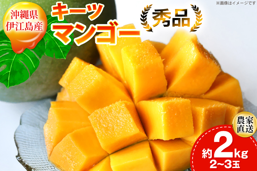【期間限定発送】 キーツ マンゴー 秀品 約 2kg (2～3玉) [伊江村マンゴー部会 沖縄県 伊江村 ie47bde320009] キーツマンゴー 沖縄 フルーツ 果物 甘い 夏 濃厚 Mango 果物 果実 くだもの