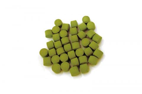 奇跡の植物＜モリンガ＞タブレット（2個セット） ☆ 読谷村産 沖縄 お手軽 持ち運び便利 栄養満点 スーパーフード