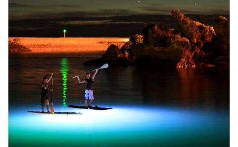 【ハレタオーシャンサポート】イチ押し！【ナイトSUPコース】2名様