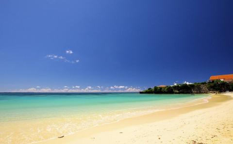 ＜焙煎工房ゆうばんた珈琲＞エチオピア・ゲイシャ（粉）300g