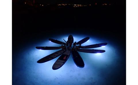 【ハレタオーシャンサポート】夜遊び【サンセット＆ナイトSUP】2名様