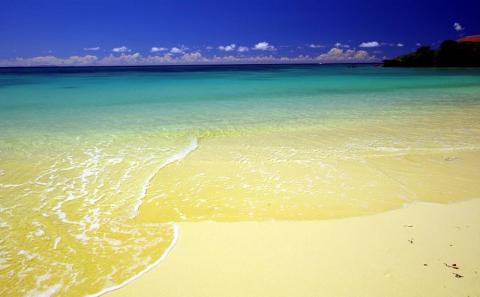 ＜焙煎工房ゆうばんた珈琲＞エチオピア・ゲイシャ（豆）300g