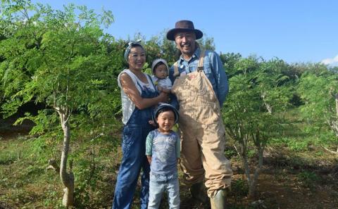 奇跡の植物＜モリンガ＞パウダー（5個セット） ☆ チカラ お手軽 ビタミン豊富 ミネラル豊富 読谷村産 沖縄