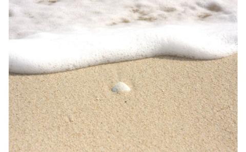 【datta.沖縄南の島陶芸工房】沖縄の海砂のモダンシーサー