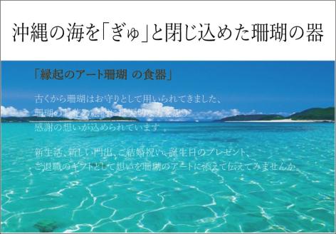 珊瑚シリーズ フリーカップ【スカイブルー】