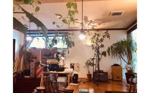 自家焙煎【Bloom Coffee Okinawa】ブレンド飲み比べ（200gx2種類）