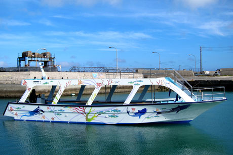 沖縄初！ジンベエザメグラスボート＜4名様＞