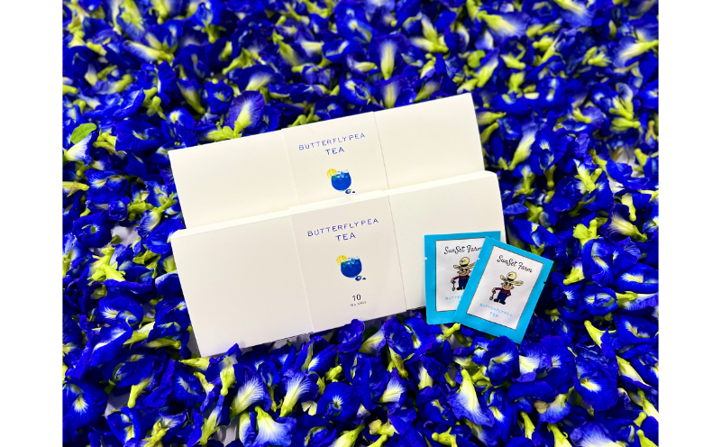 読谷村産高級バタフライピー（ティーパック10パック入・2箱）