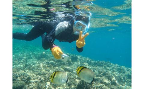 ふるさと納税 沖縄県 読谷村 ＜4名様＞圧巻！ジンベエザメ体験ダイビング ふるさと納税圧巻！ジンベエザメ体験ダイビング（３名様