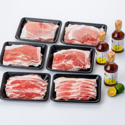 あぐー豚しゃぶ3種の食べ比べセット(もも肉・かた肉・ばら肉)各250g×2パックタレ付【配送不可地域：離島】