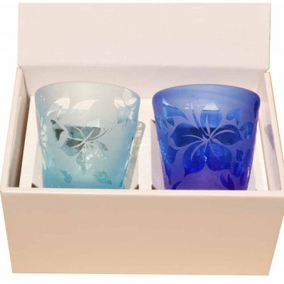 琉球ガラハイビフルデザイン2P