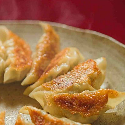 沖縄県産あぐー豚を100%使用した贅沢な餃子です　48個入(12個入×4袋)【配送不可地域：離島】