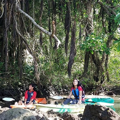 【大人用】マングローブカヤックツアー