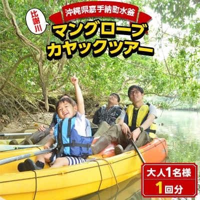 【大人用】マングローブカヤックツアー