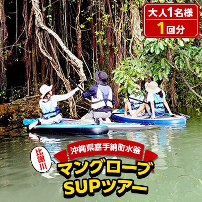 【大人用】マングローブSUPツアー