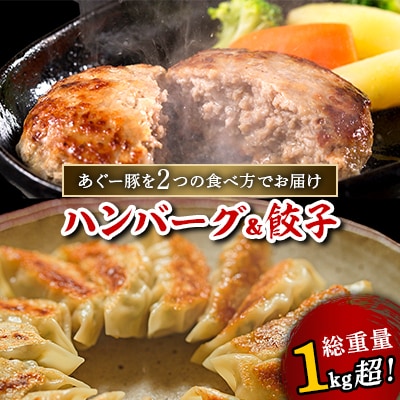 総重量1kg超!あぐー豚を2つの食べ方でお届けします(ハンバーグ＆餃子)【配送不可地域：離島】