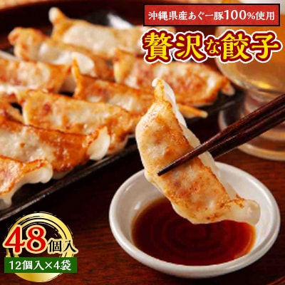 沖縄県産あぐー豚を100%使用した贅沢な餃子です　48個入(12個入×4袋)【配送不可地域：離島】