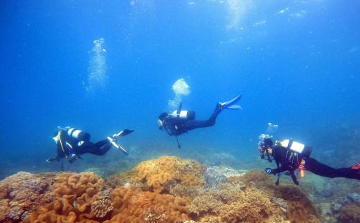【ふるさと納税】【ふるさと納税】沖縄県北谷町　2ビーチファンダイビング