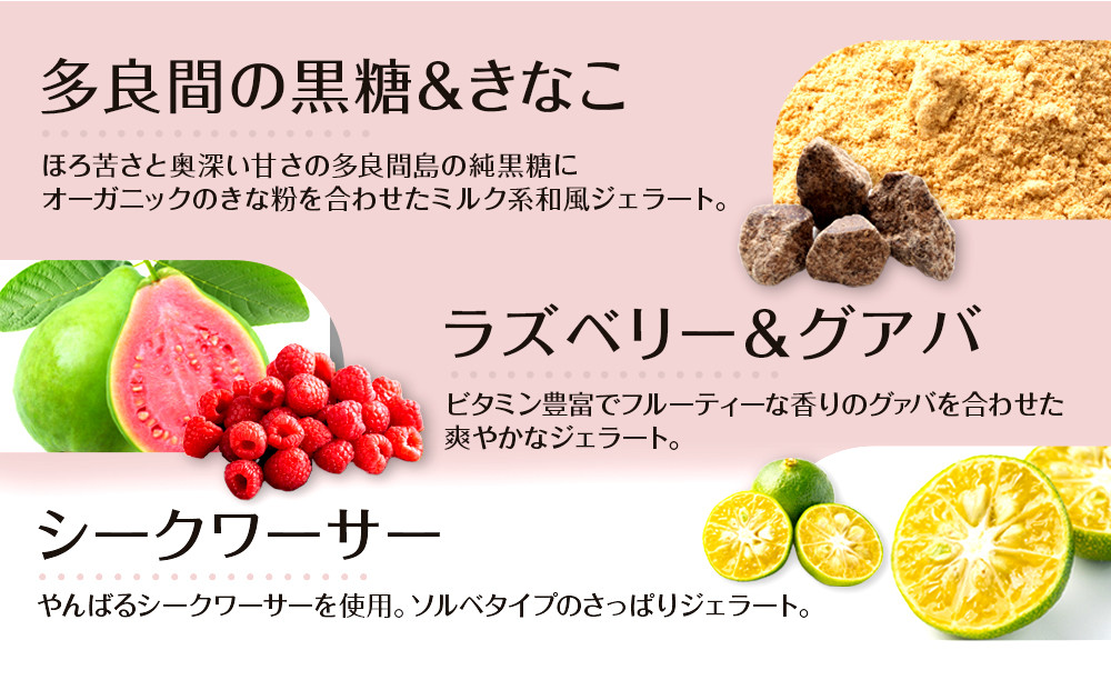 沖縄　こころおどる　ジェラート12個セット