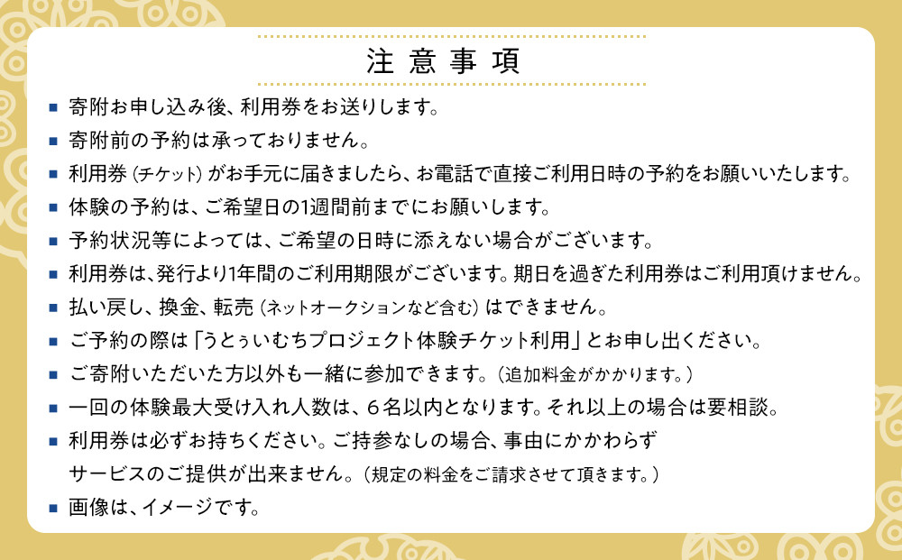 【ふるさと納税】☆沖縄芸能三線体験☆～沖縄貸衣装体験付き～