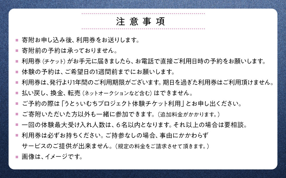 【ふるさと納税】☆沖縄芸能指笛体験☆～沖縄貸衣装体験付き～