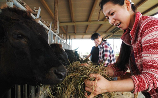 【ふるさと納税】沖縄県産和牛【KINJO BEEF】手ごねハンバーグステーキ（200g×5P） | ハンバーグ はんばーぐ 石垣牛 牛肉 牛 沖縄 北谷 石垣島 ちゃたん おかず 惣菜 冷凍
