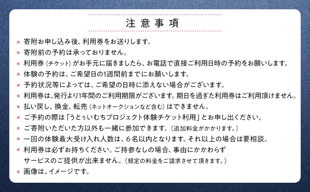 【ふるさと納税】☆沖縄芸能満喫体験☆～沖縄貸衣装体験付き～